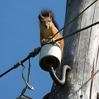 Anti Rodent Fiber Optic Cable
