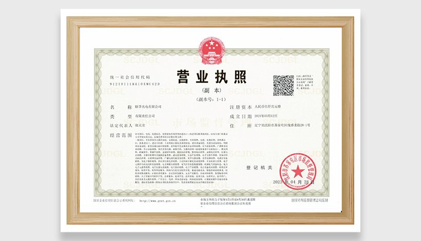 Business License
