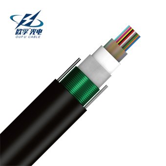 GYDXTW Fiber Optic Cable