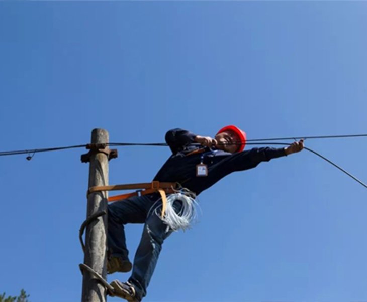 High Environmental Adaptability