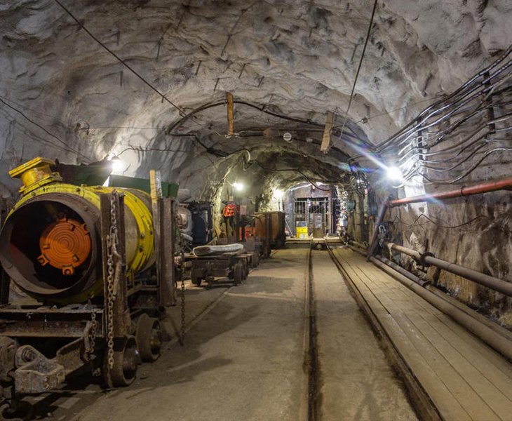 Strong Environmental Adaptability