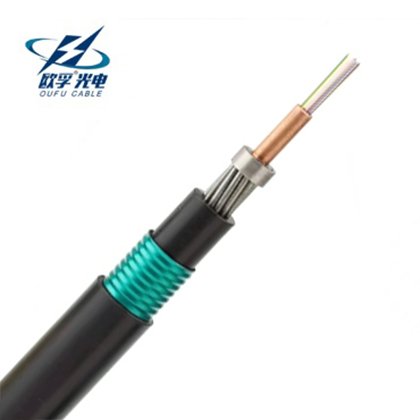 Submarine Fiber Optic Cable