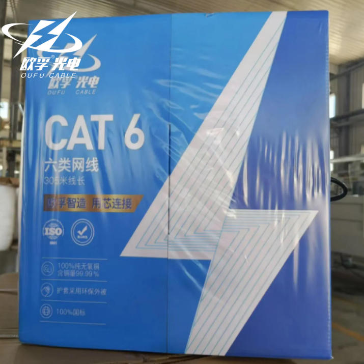 CAT 6 Ethernet Cable