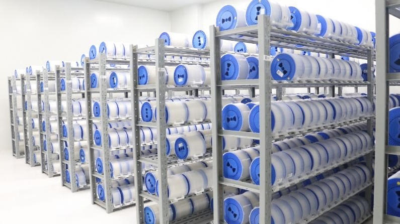 G652DvsG657A1vsG657A2