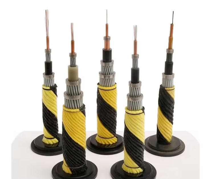 Submarine Fiber Optic Cable