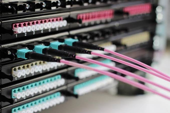 mpo patch cord